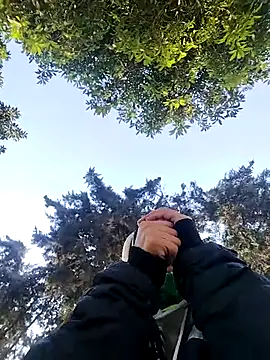 rebekka simpson online show from February 5, 2026, 12:21 pm