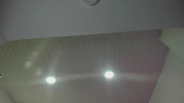 Snapshot of cute_hollywood chatting on April 24, 2026, 8:06 am cute hollywood online show from April 24, 2026, 8:06 am
