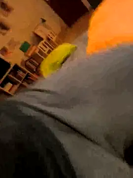 onbifeet online show from October 9, 2025, 6:17 pm