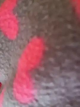 Noviostoxico online show from January 15, 2026, 2:10 pm