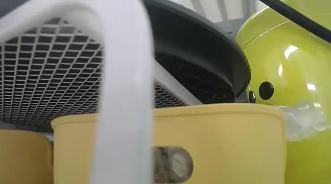 Snapshot of Lovensetest chatting on December 19, 2024, 10:24 am Lovensetest online show from December 19, 2024, 10:24 am