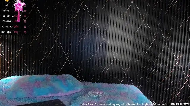 Snapshot of _noahjones chatting on January 23, 2025, 12:09 pm noahjones online show from January 23, 2025, 12:09 pm