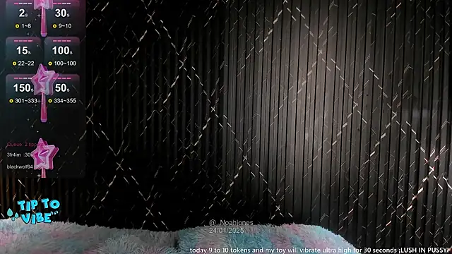 Snapshot of _noahjones chatting on January 24, 2025, 4:06 pm noahjones online show from January 24, 2025, 4:06 pm