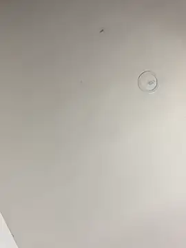 cheryl cc online show from April 16, 2026, 9:50 pm