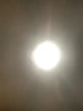 valleyoneofakind online show from October 20, 2025, 3:34 pm