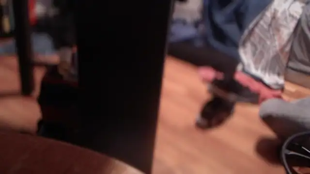 flexingplexico online show from March 3, 2025, 12:04 am