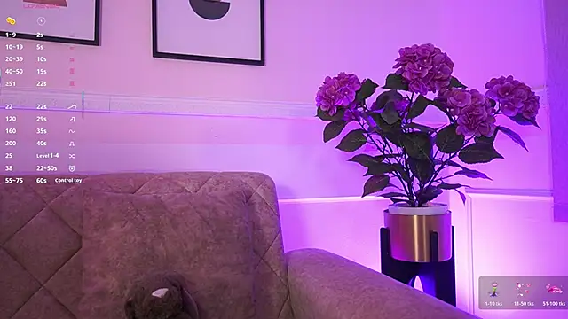 Anybuny online show from February 4, 2026, 11:38 am