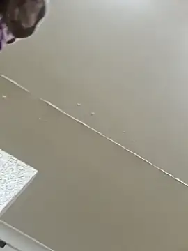 Off the Lesh online show from March 2, 2026, 3:52 pm