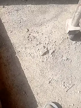 Kurtsikicixh online show from October 21, 2025, 9:32 am