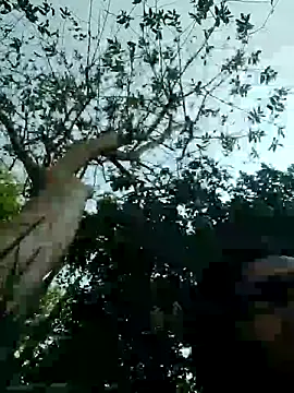 Snapshot of Young_couple143 chatting on March 11, 2025, 8:20 am Young couple143 online show from March 11, 2025, 8:20 am