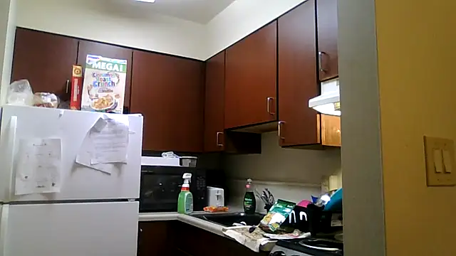 Snapshot of DreamvilleINC chatting on November 2, 2025, 11:51 pm DreamvilleINC online show from November 2, 2025, 11:51 pm