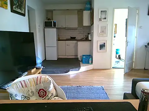 mihaimichael online show from April 30, 2026, 8:42 am