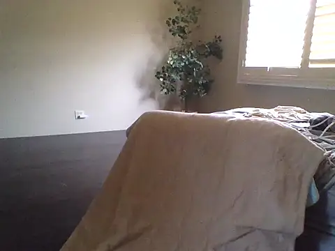 tengocanicas online show from December 3, 2025, 8:29 pm