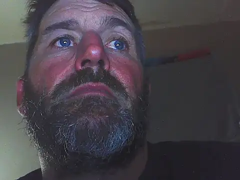 pipeload1275 online show from November 1, 2025, 8:05 am