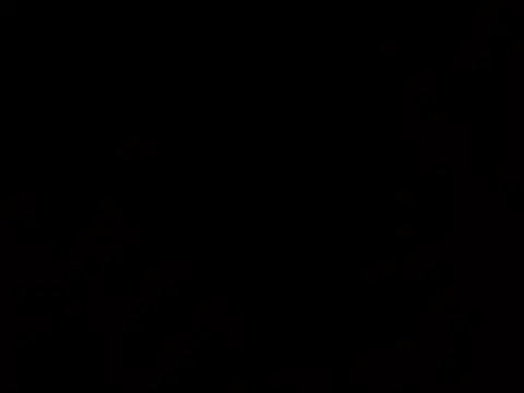 thatdude9 9 9 online show from March 31, 2026, 10:48 am