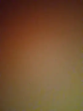 Snapshot of mendelicius chatting on February 27, 2025, 6:09 pm mendelicius online show from February 27, 2025, 6:09 pm