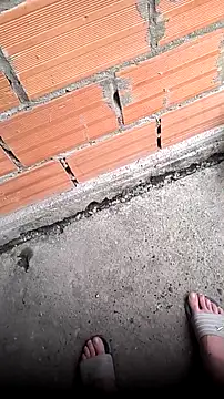 mendelicius online show from April 11, 2026, 11:14 am