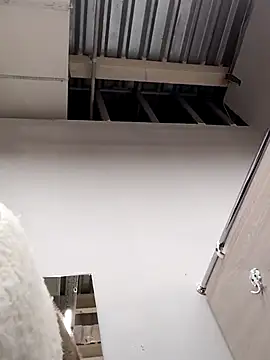 Morphine 666 online show from December 14, 2024, 6:13 am