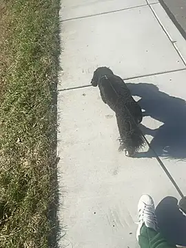 Snapshot of Esauhot chatting on February 24, 2025, 8:25 pm Esauhot online show from February 24, 2025, 8:25 pm