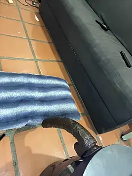 MrPatrick777 online show from April 2, 2026, 5:43 pm