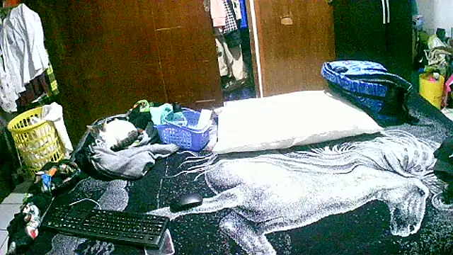 jperezofficial1 online show from September 13, 2025, 9:42 am