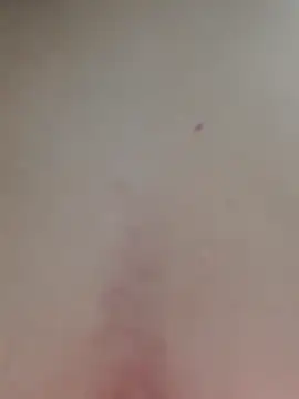 AmandaS2k online show from April 1, 2026, 3:42 pm