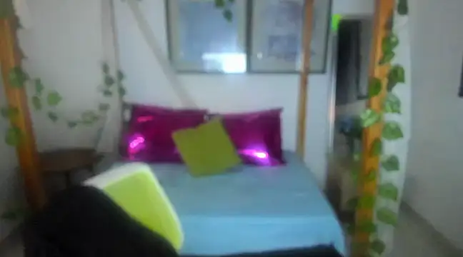 lussyevans24 online show from February 25, 2025, 4:35 am