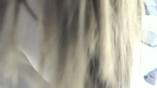 celestica rose online show from February 2, 2026, 10:30 pm