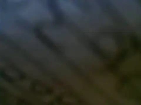 WHITEDAROSE online show from March 12, 2025, 7:17 pm