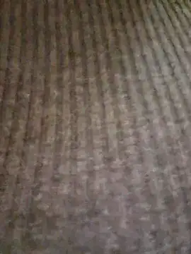 lamorbosa37 online show from February 10, 2026, 8:13 pm