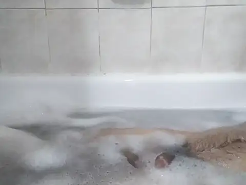 69LanceRomance69 online show from February 27, 2026, 9:20 am