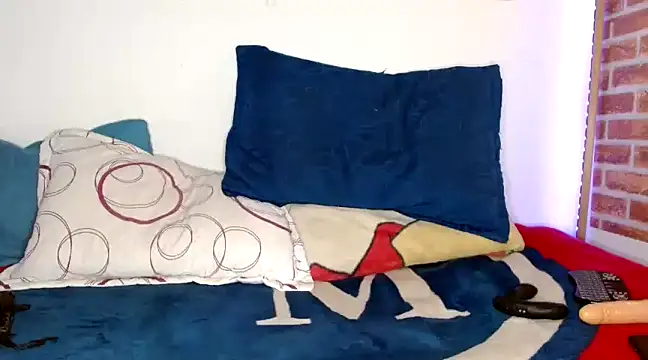 Snapshot of colinbrown chatting on January 28, 2025, 12:32 pm colinbrown online show from January 28, 2025, 12:32 pm