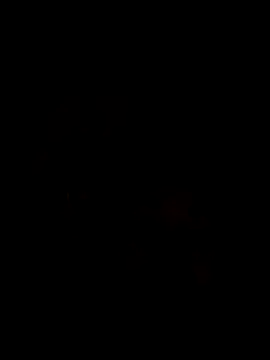 Ory22 online show from November 1, 2025, 4:42 pm