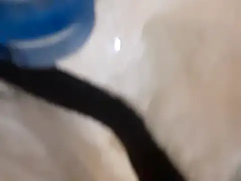 Snapshot of pedrodavid_ chatting on March 14, 2025, 12:10 am pedrodavid online show from March 14, 2025, 12:10 am