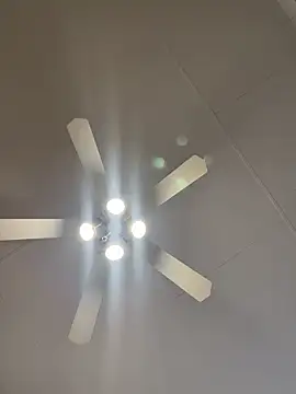 Snapshot of Dicktator16 chatting on February 15, 2026, 3:31 pm Dicktator16 online show from February 15, 2026, 3:31 pm