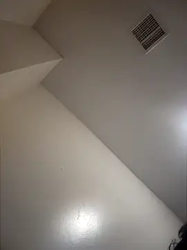 Wildherb244 online show from December 3, 2024, 10:29 pm