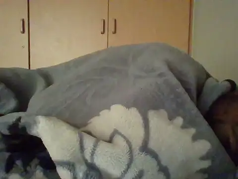 Snapshot of TheeMassageMobileSpa chatting on February 20, 2025, 6:28 am TheeMassageMobileSpa online show from February 20, 2025, 6:28 am