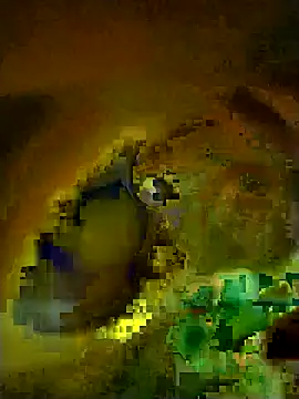 Snapshot of Rasdick chatting on March 4, 2026, 2:17 am Rasdick online show from March 4, 2026, 2:17 am