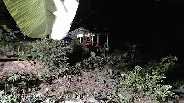 andreu mature online show from October 8, 2025, 1:14 am