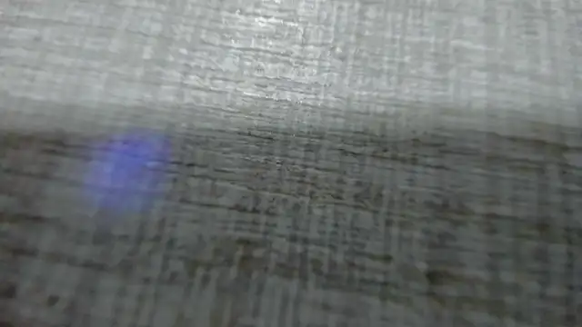 AishaRouhi online show from March 25, 2026, 4:40 am