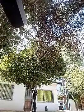 mikythompson online show from February 17, 2025, 4:04 pm