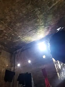 Snapshot of alex4020 chatting on November 6, 2025, 4:13 am alex4020 online show from November 6, 2025, 4:13 am