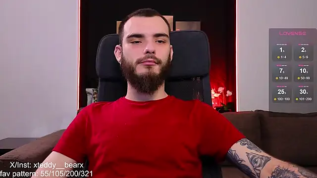 xteddy bear online show from December 28, 2024, 6:18 pm