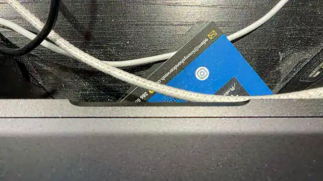 Snapshot of TinyTraps chatting on December 17, 2024, 2:11 pm TinyTraps online show from December 17, 2024, 2:11 pm