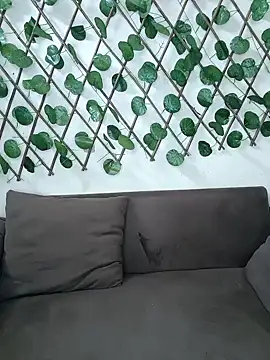 Snapshot of Bold-Cat chatting on November 20, 2025, 4:51 pm Bold-Cat online show from November 20, 2025, 4:51 pm