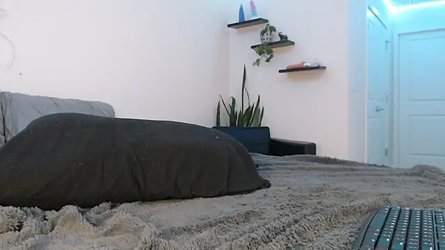 fallongrayxo online show from March 8, 2025, 11:28 pm