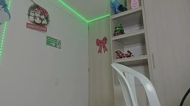 Snapshot of _diegsz_ chatting on December 5, 2024, 1:28 pm diegsz online show from December 5, 2024, 1:28 pm