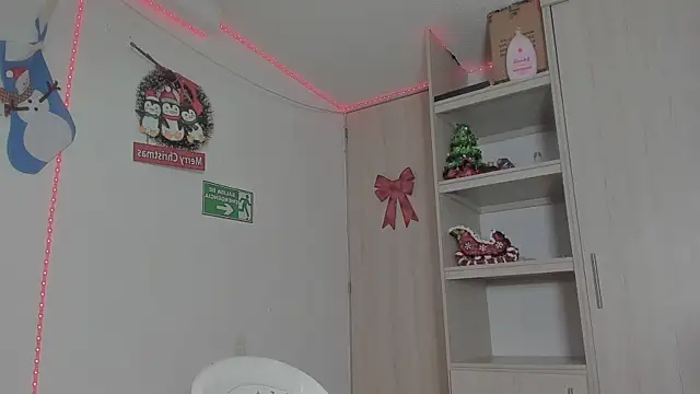 Snapshot of _diegsz_ chatting on December 15, 2024, 5:31 pm diegsz online show from December 15, 2024, 5:31 pm