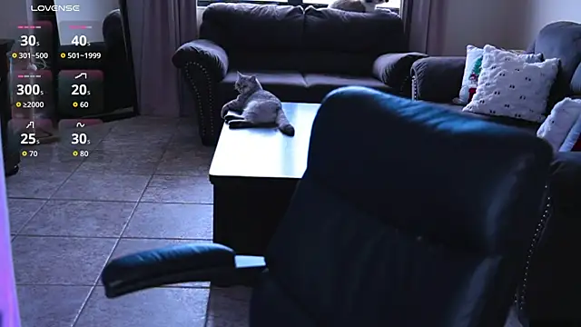 Snapshot of Naughty-Kitty1 chatting on July 7, 2026, 6:23 pm Naughty-Kitty1 online show from July 7, 2026, 6:23 pm