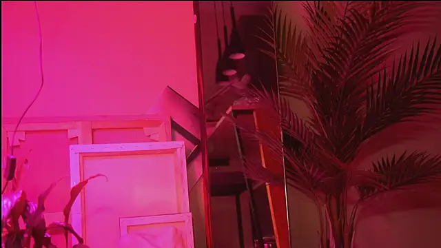 Arianna Richi online show from September 24, 2025, 5:55 am